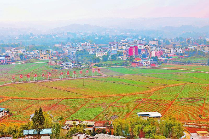 這個(gè)萬(wàn)畝糧油示范園不一般